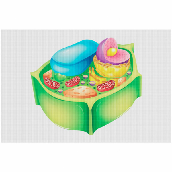 Plant-Cell-S (1)