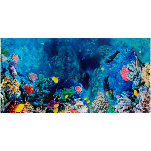 SDL04909RCB410801-Reef-Cave-S (1)